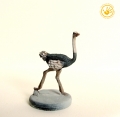 Ostrich